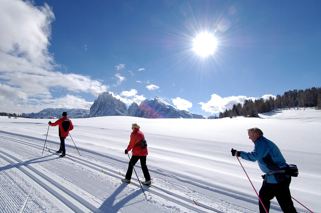 Three cross-country skiers in the sunlight, Alpe di Siusi, Valle Isarco, South Tyrol, Italy, Europe