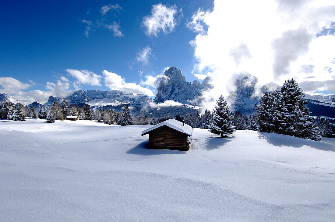 Schneebedeckte Almhütte im Sonnenlicht, Seiser Alm, Eisacktal, Südtirol, Italien, Europa