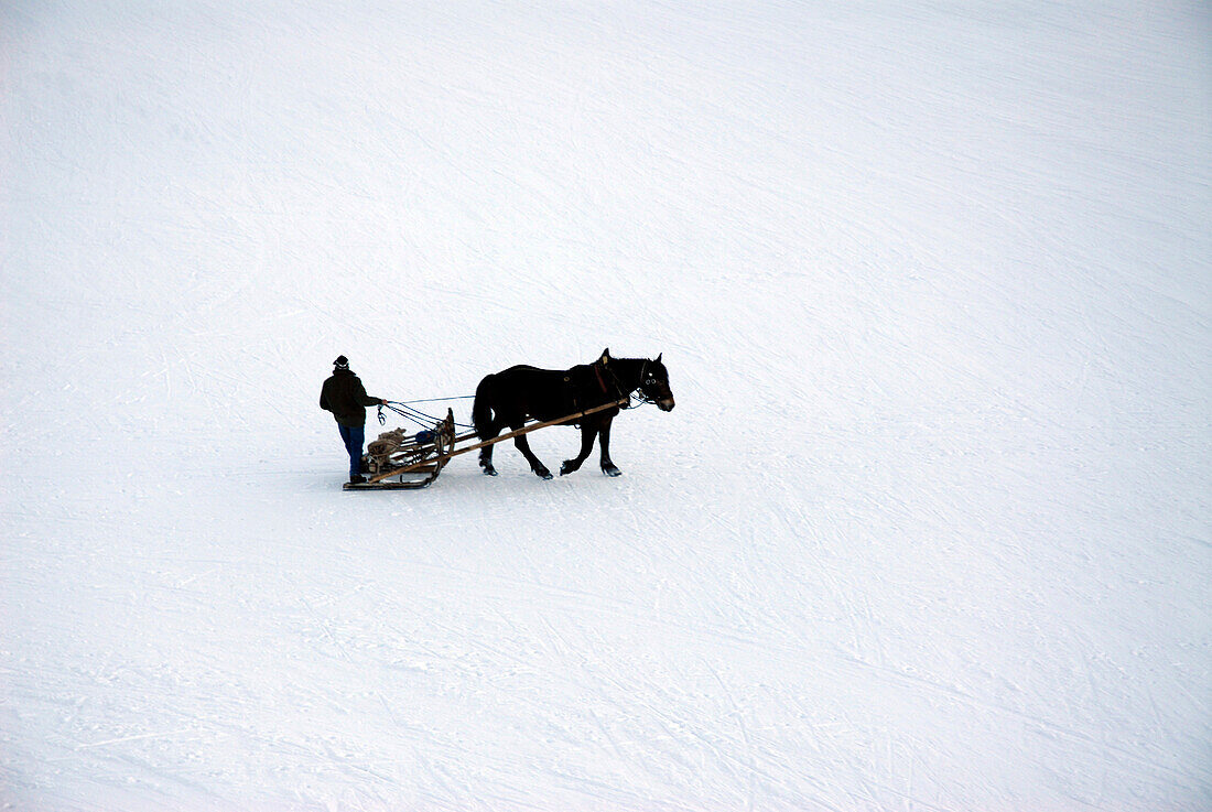 Blick auf Mann mit Pferdeschlitten im Schnee, Südtirol, Italien, Europa