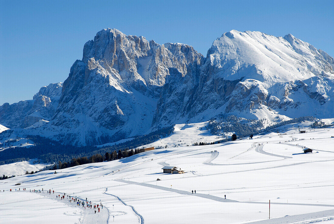 Winterlandschaft und Berge unter blauem Himmel, Seiser Alm, Eisacktal, Südtirol, Italien, Europa