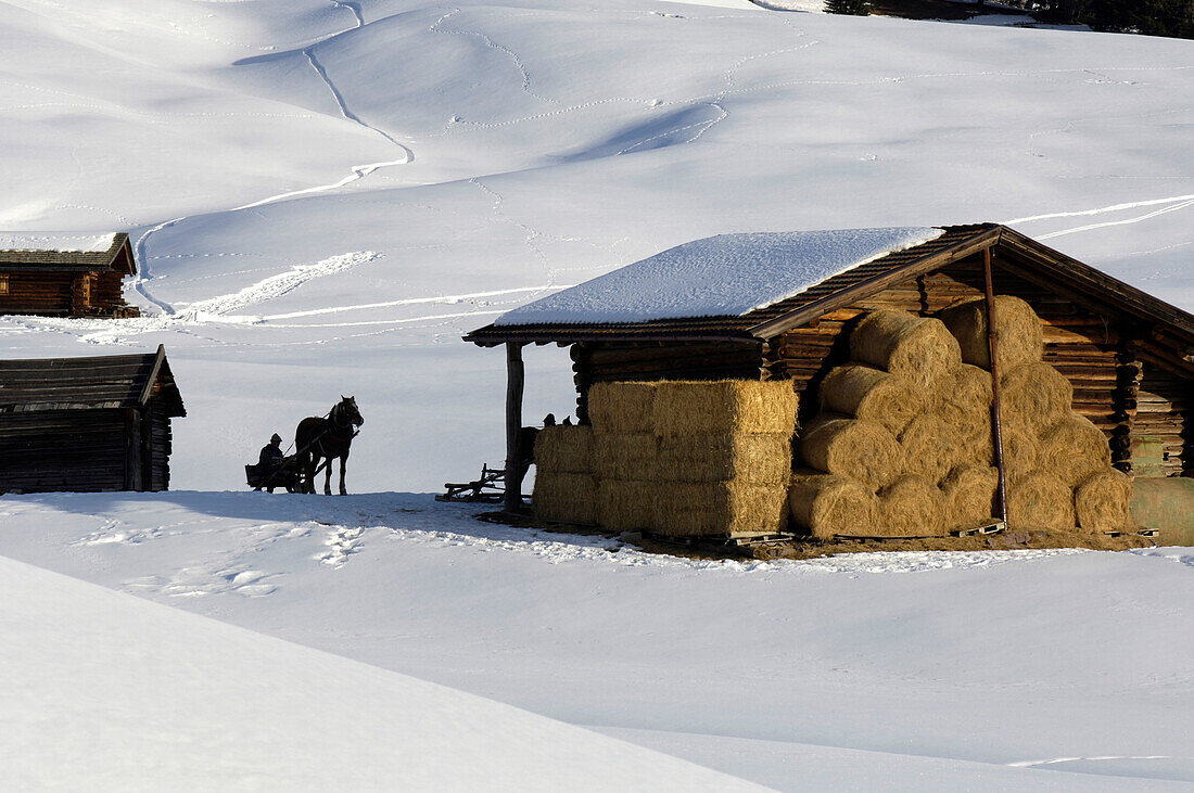 A sleigh next to a snow covered alpine hut with hay bales, South Tyrol, Italy, Europe