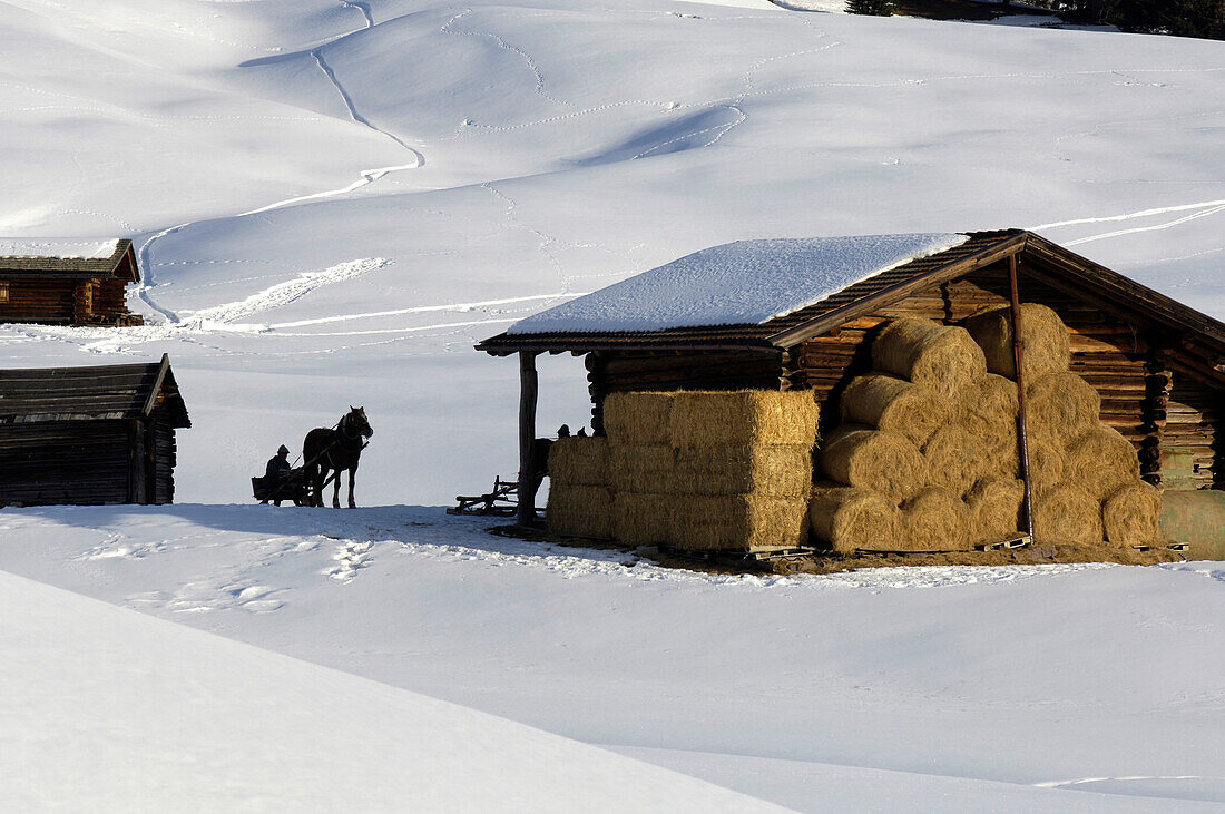 Ein Pferdeschlitten neben einer schneebedeckten Almhütte mit Heuballen, Südtirol, Italien, Europa