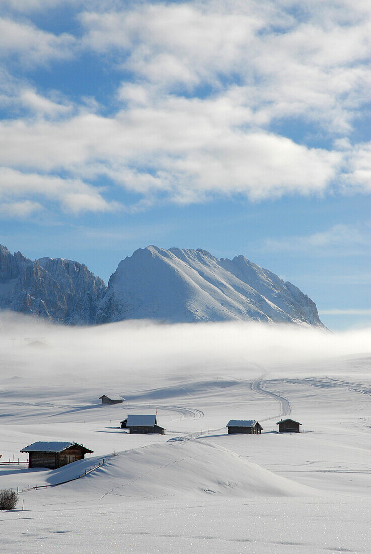 Wafts of mist over winter landscape with alpine huts, Alpe di Siusi, South Tyrol, Italy, Europe