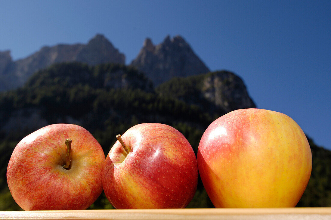 Drei sonnenbeschienene Äpfel vor Bergen im Hintergrund, Schlern, Südtirol, Italien, Europa
