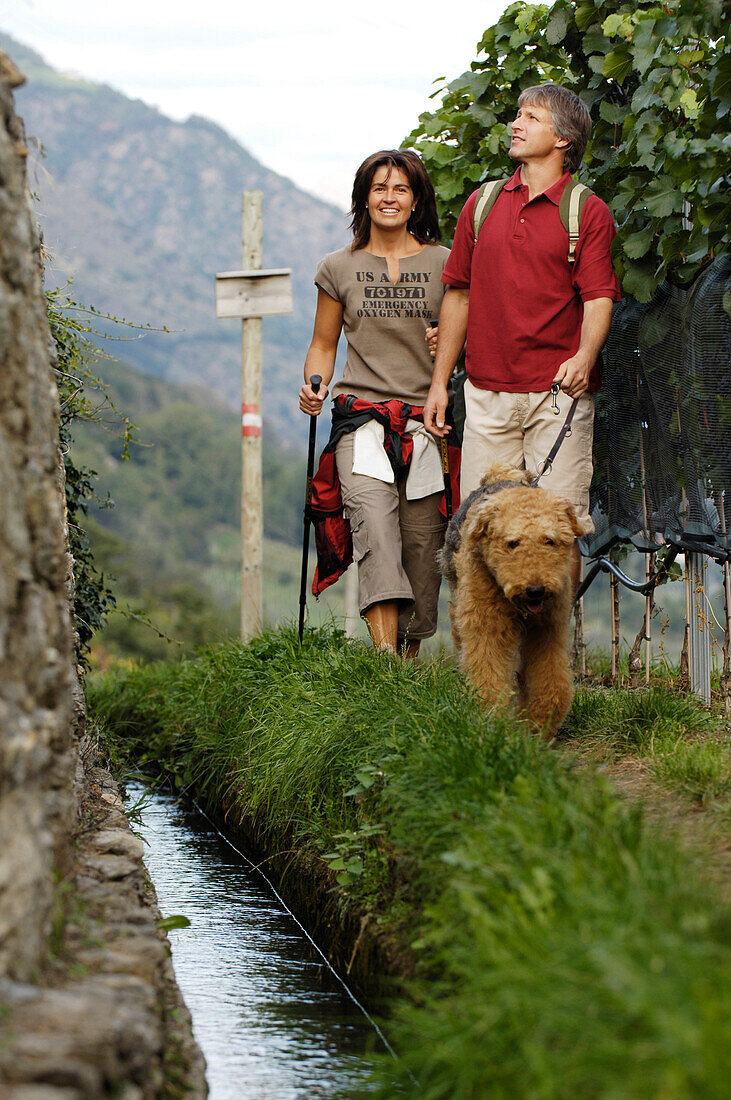 A couple with dog hiking along a stream, Val Venosta, South Tyrol, Italy, Europe