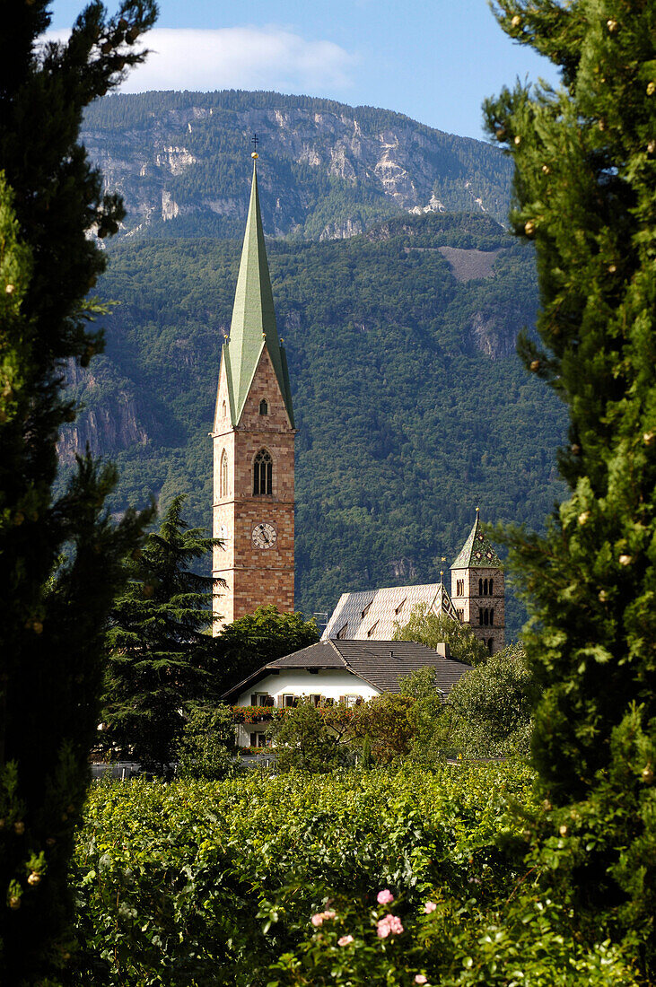 Blick über Weinreben auf einen Kirchturm, Terlan, Südtirol, Italien, Europa