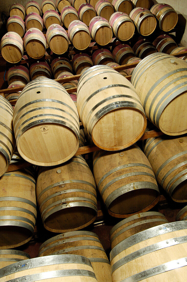 Blick auf Weinfässer in einem Weinkeller, Terlan, Südtirol, Italien, Europa
