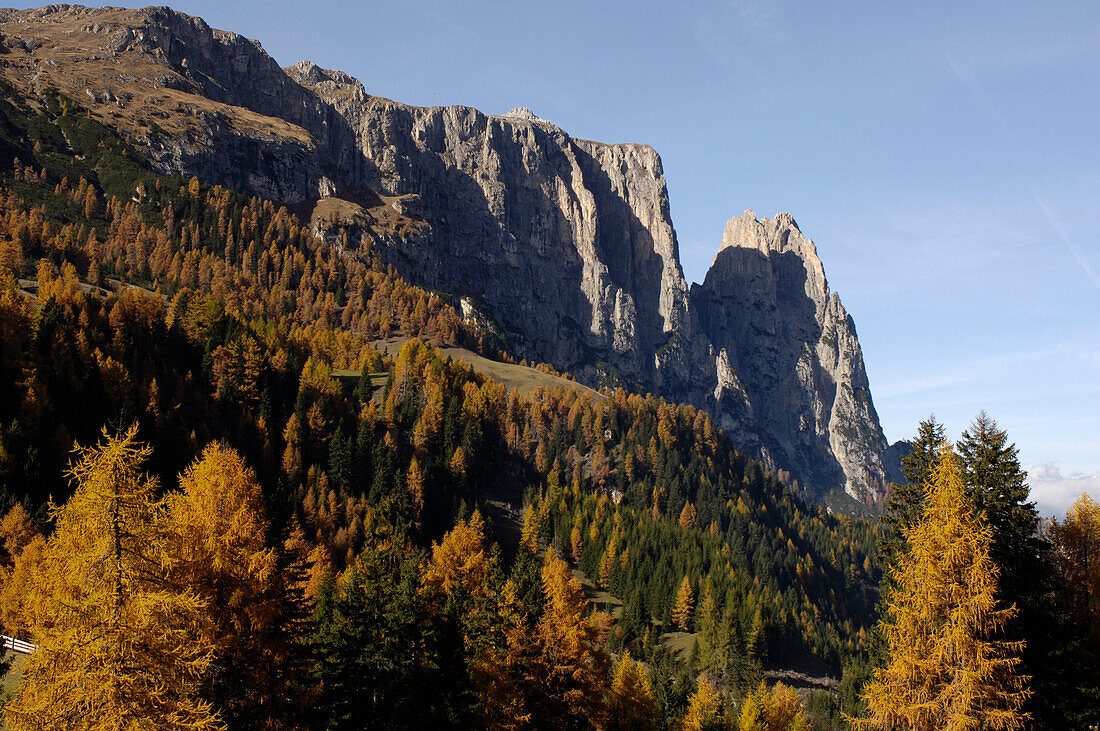 Berg mit herbstlichem Wald im Sonnenlicht, Schlern, Südtirol, Italien, Europa