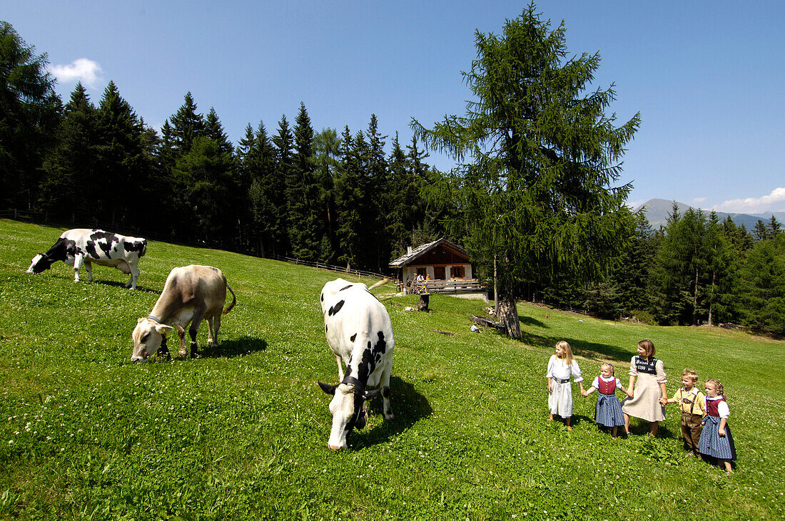 Kühe auf der Sommerweide, Kinder spielen auf der Wiese, Almwiese, Almwirtschaft, Urlaub auf dem Bauernhof, Südtirol, Italien