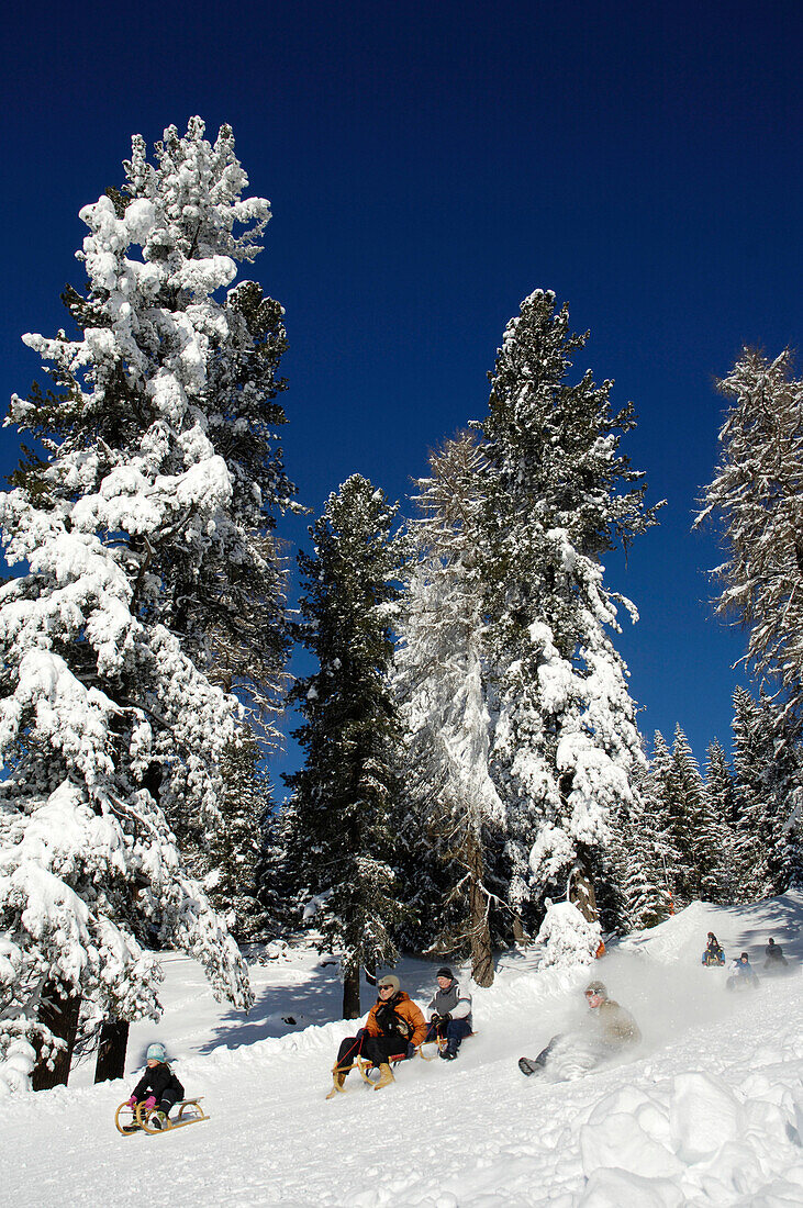Leute beim Schlittenfahren, Rodelbahn, Spass im Schnee, Südtirol, Italien