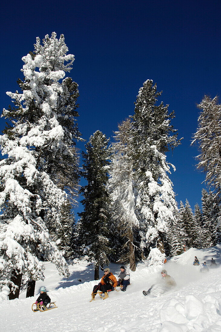 People on sledges, sledging down a slope, Sledge run, Fun in the snow, South Tyrol, Italy