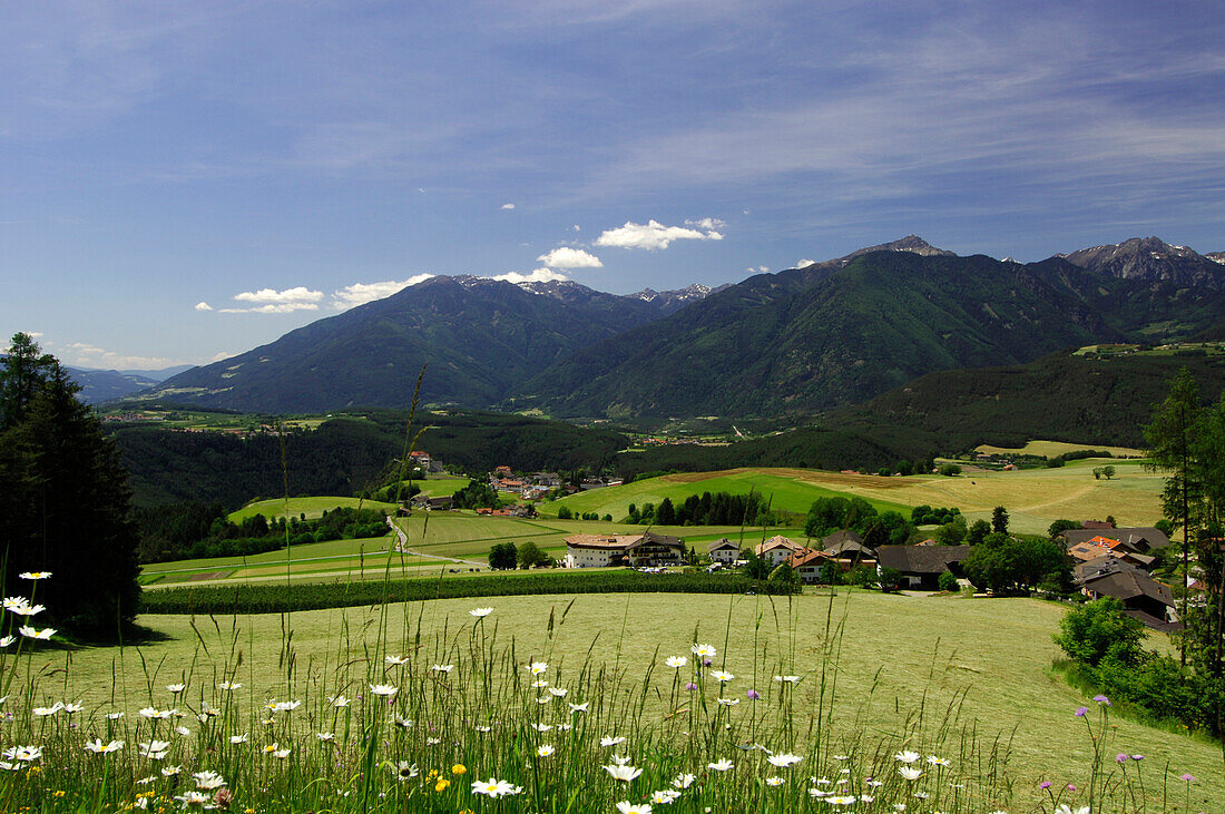 Mountain landscape in summer, Rodeneck, Puster Valley, South Tyrol, Italy