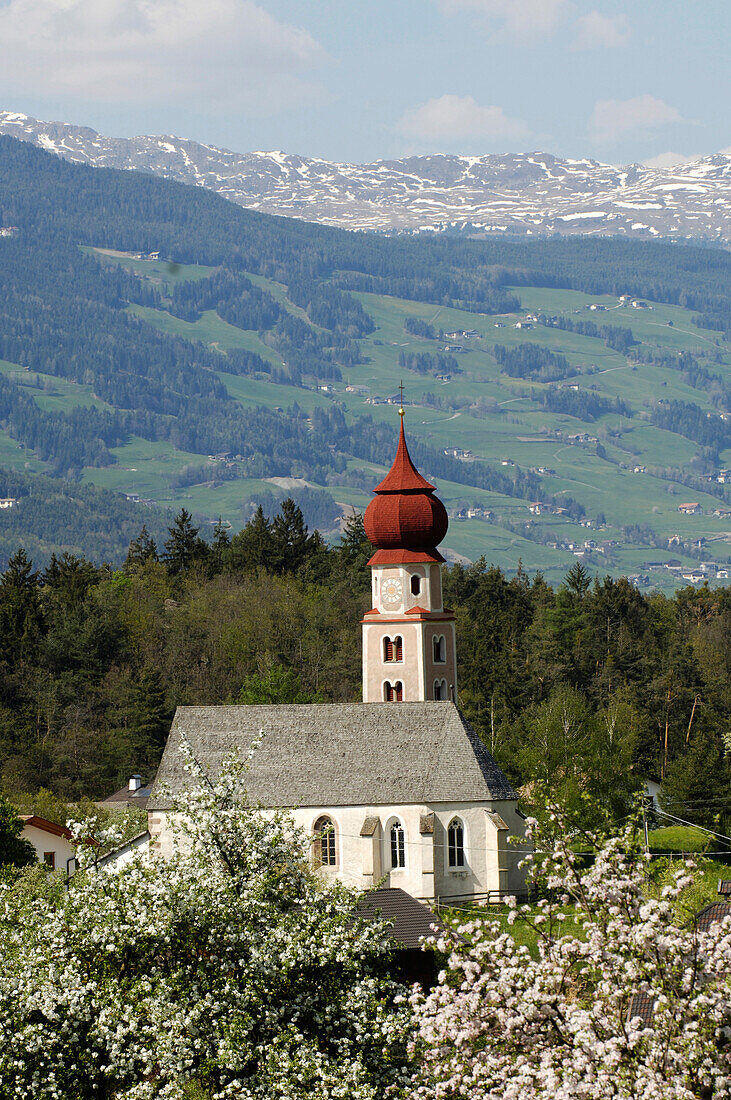 Church of St Oswald with onion dome in Spring, St Oswald, Kastelruth, Castelrotto, Schlern, South Tyrol, Italy