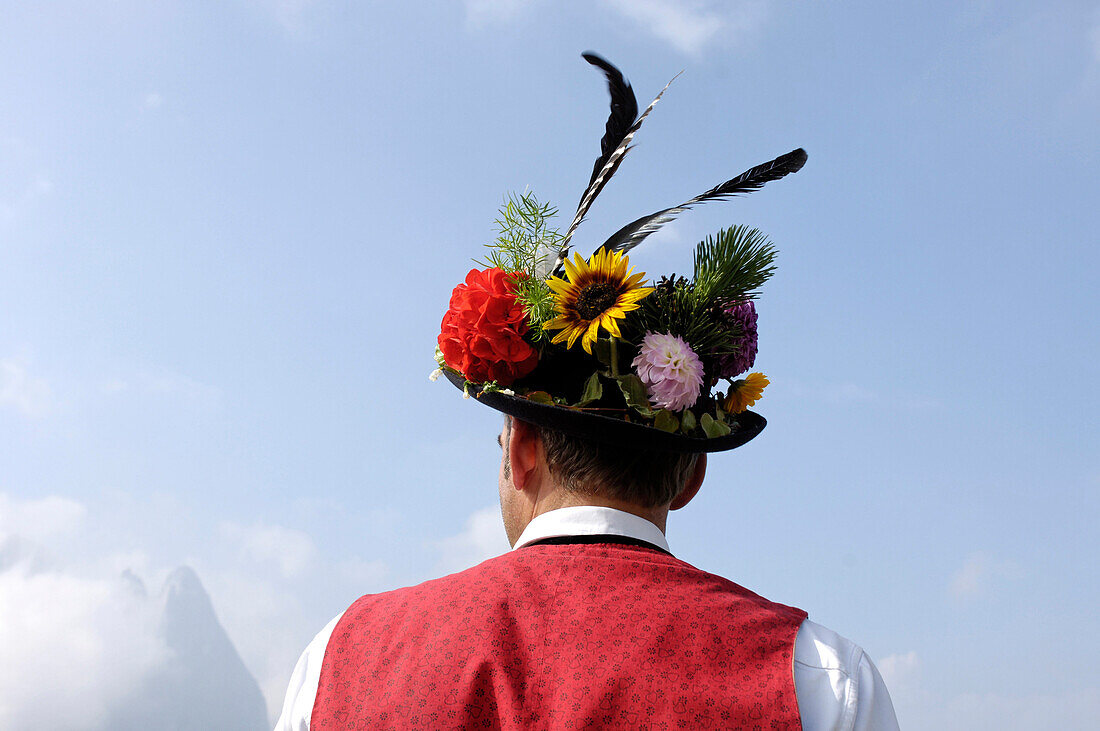 Shepherd with Traditional clothing, hat, Returning to the valley from the alpine pastures, Seiser Alm, South Tyrol, Italy