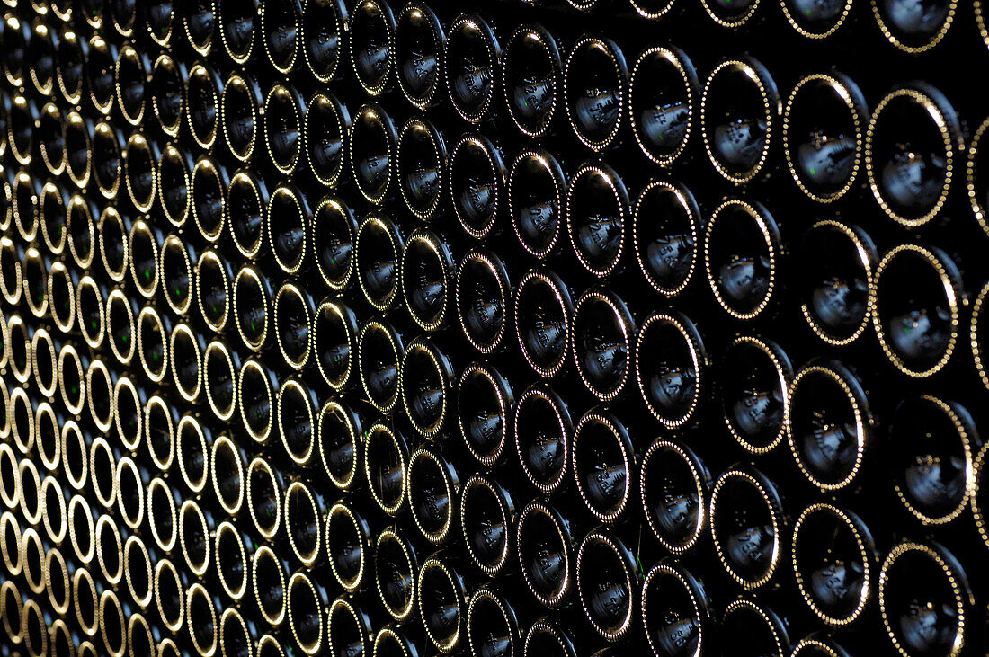 Rows of bottles of sparkling wine, Sektkellerei Reiterer, Arunda Sekt, Moelten, South Tyrol, Italy