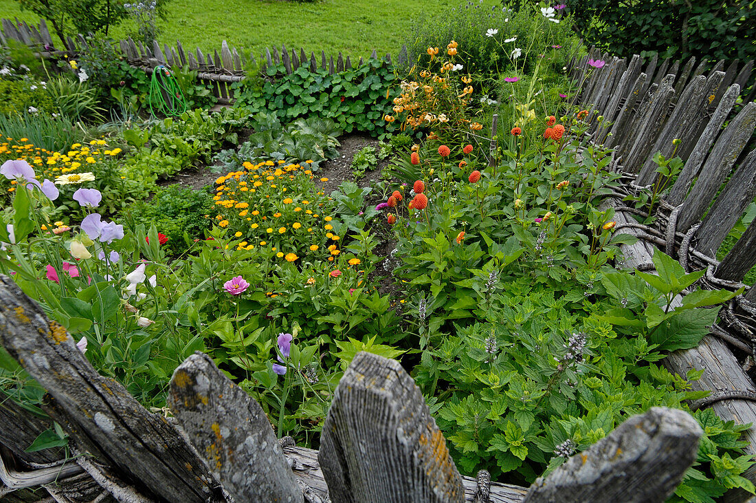 Vegetable garden with flowers in the South Tyrolean local history museum at Dietenheim, Puster Valley, South Tyrol, Italy