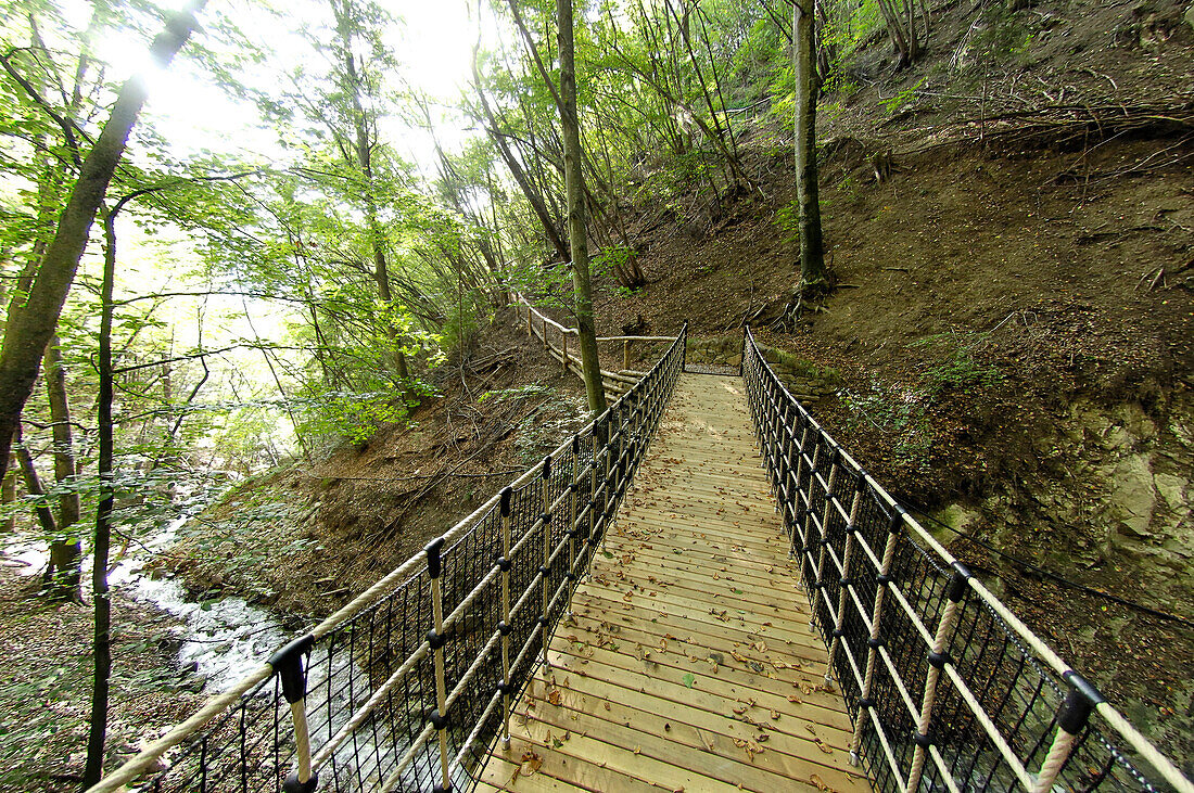 Hängebrücke im Wald, Oachner Höfeweg, Völs am Schlern, Südtirol, Italien