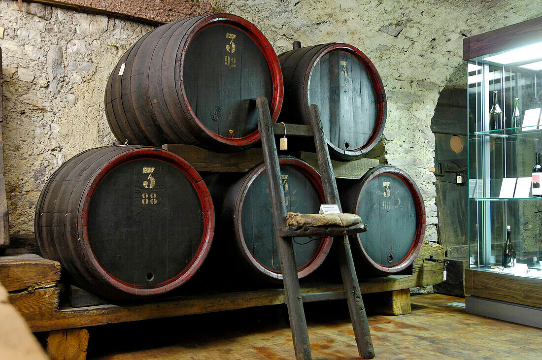 Weinkeller mit Weinfässer, Südtiroler Weinmuseum, Kaltern an der Weinstrasse, Überetsch, Südtirol, Italien