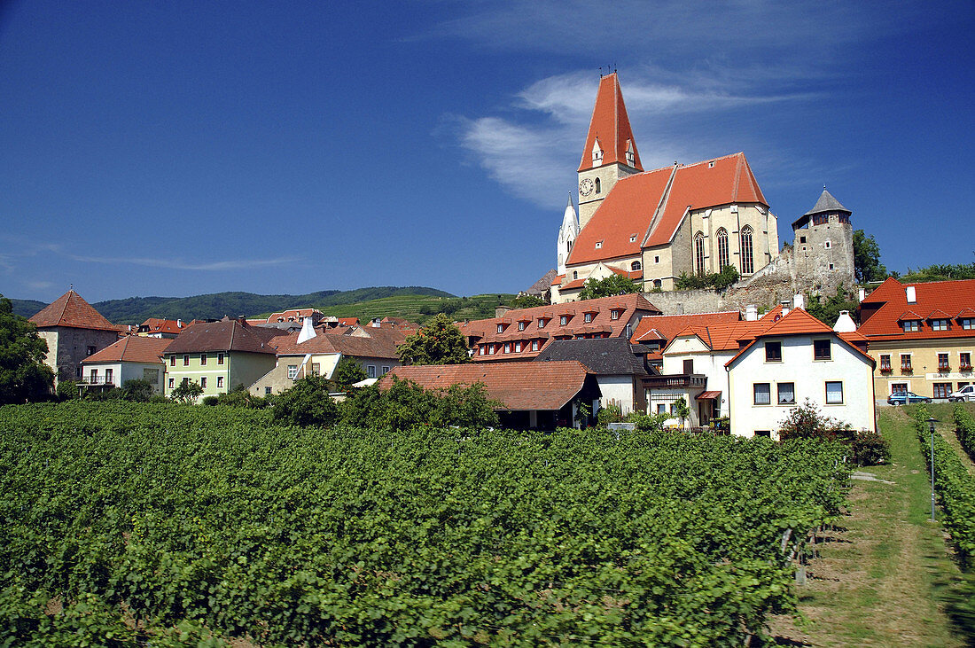 Vinyards surrounding the old town of Weisskirchen, in the Wachau region of Austria