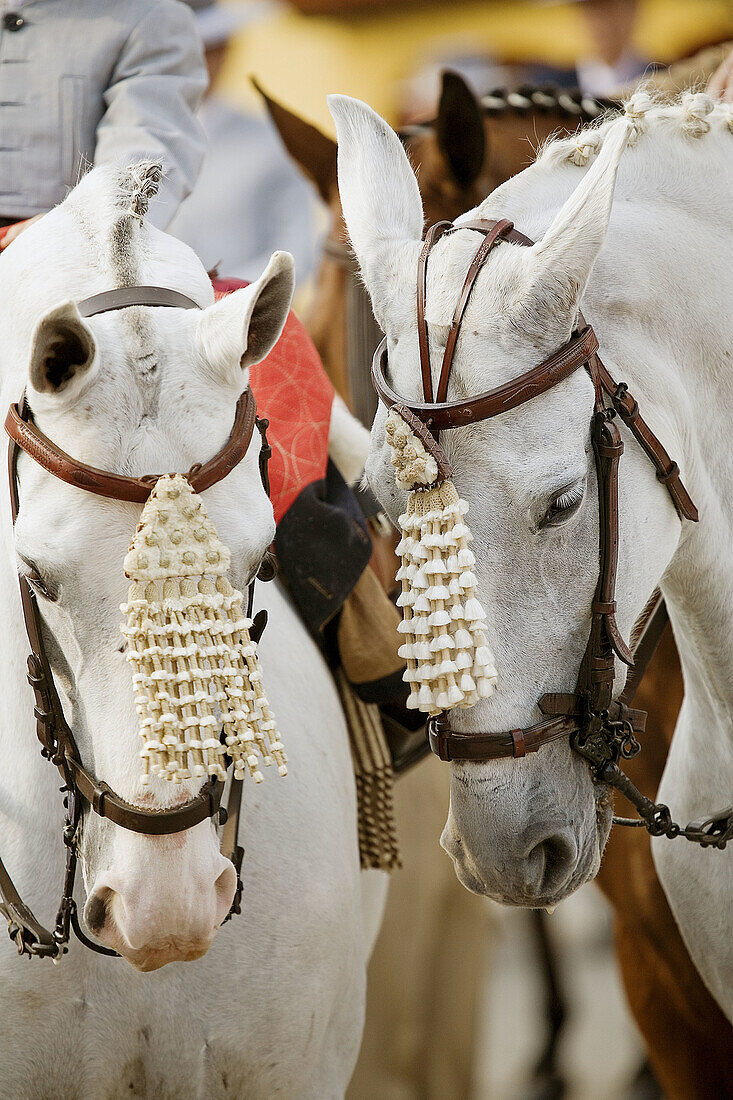 Fuengirola fair. Málaga province, Costa del Sol. Andalusia, Spain