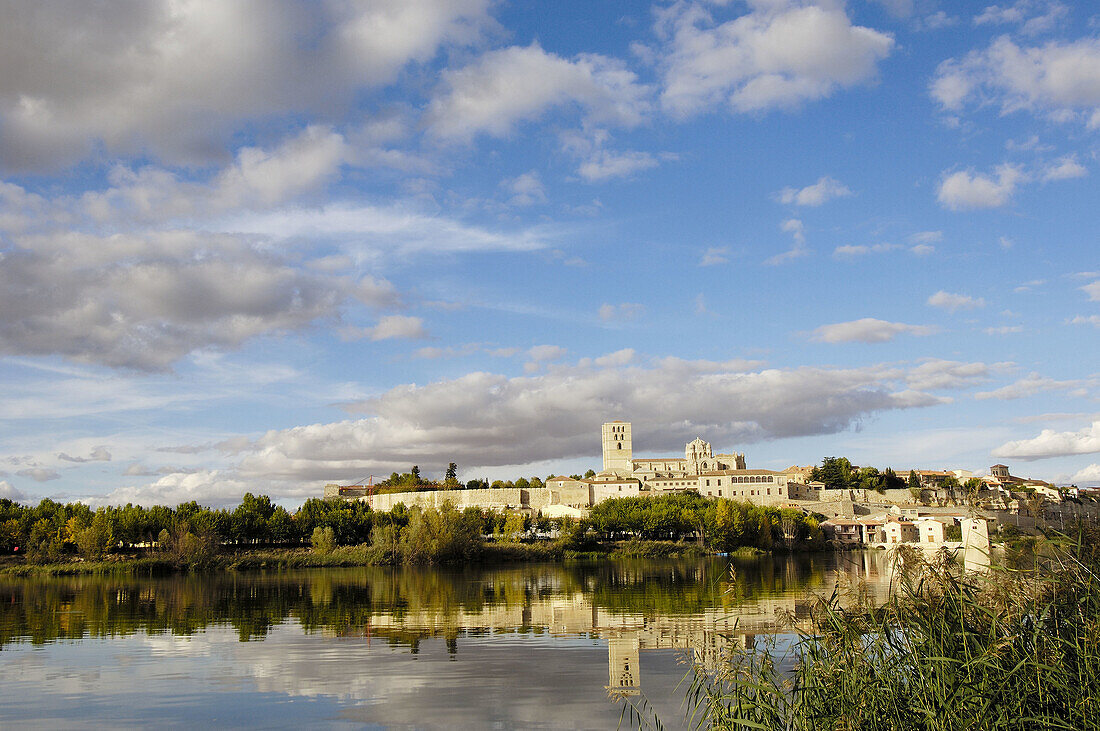 Zamora romanesque cathedral (12th century) and Douro river, Via de la Plata, Zamora province, Castilla y León, Spain