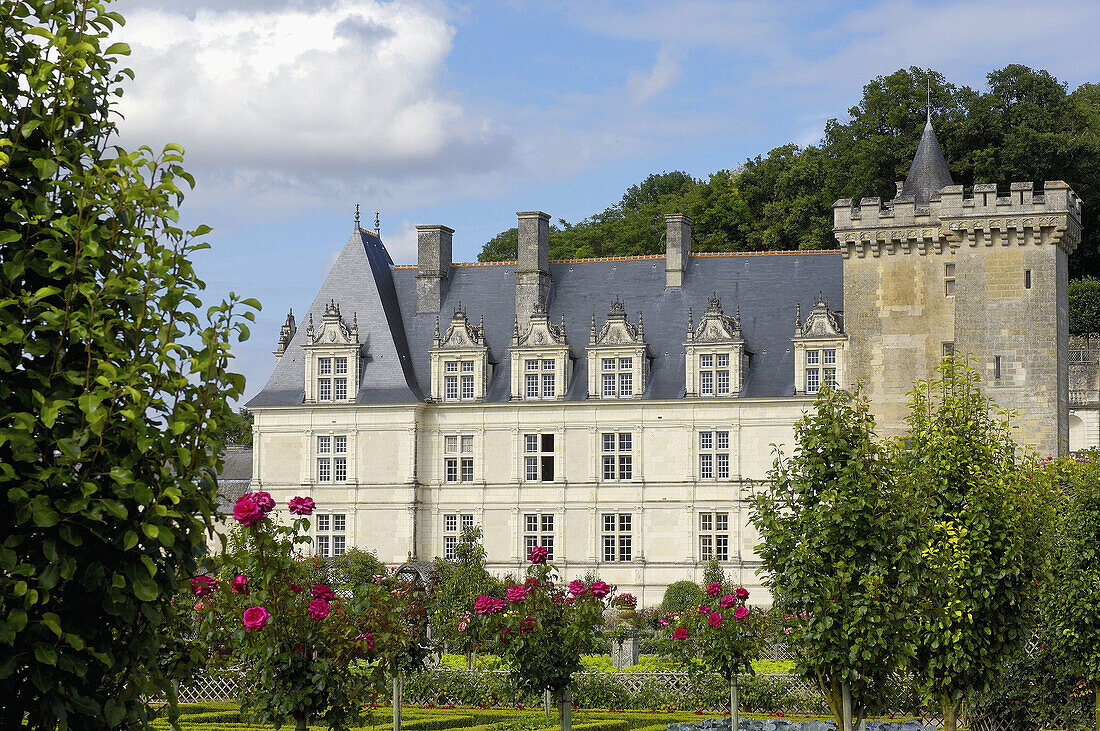 Villandry castle and gardens. Château de Villandry. Indre-et-Loire.Touraine. Loire Valley. France