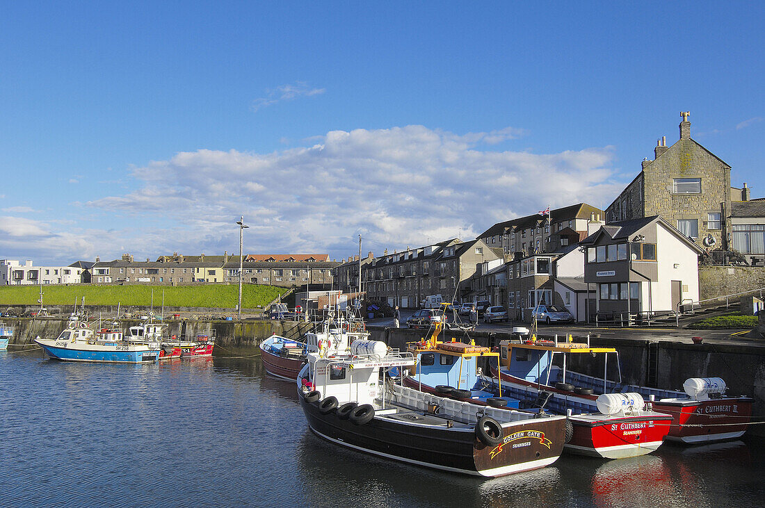 Fishing Boats in Harbour. Seahouses Northumberland. England