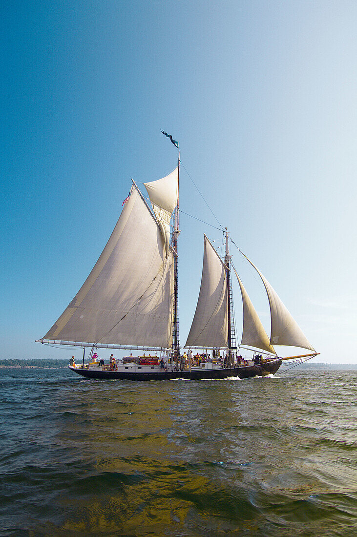 Schooner Nathaniel Bowditch sailing on Penobscot Bay, Maine USA