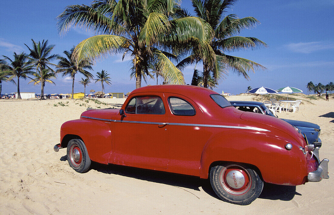 Old car, Havana. Cuba