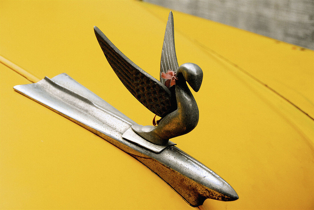 Old car detail, Havana. Cuba