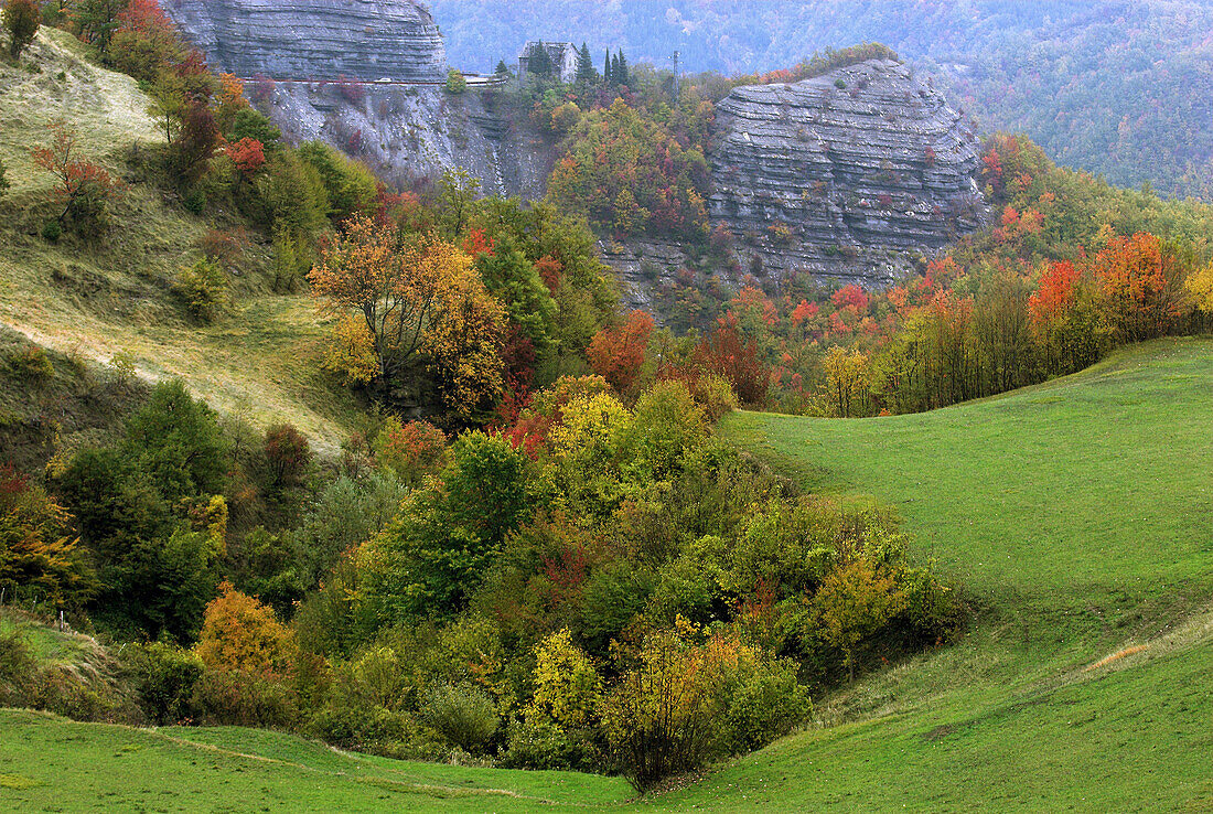 Passo di Mandrioli, Alpe di Serra, deciduous forest and pasture, colours of autumn, Apennine mountains, Emilia Romagna, Italy