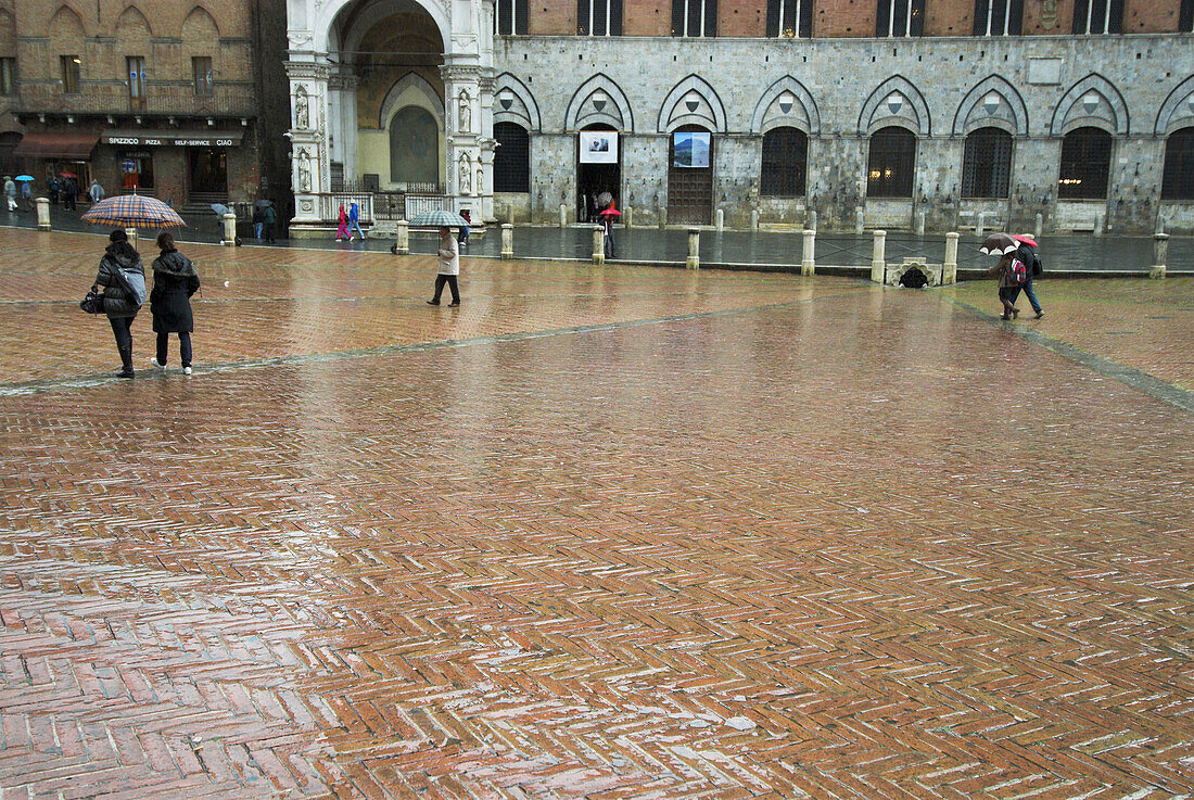 Siena, Piazza del Campo, city hall, pavement, rain, wetness, Tuscany, Italy
