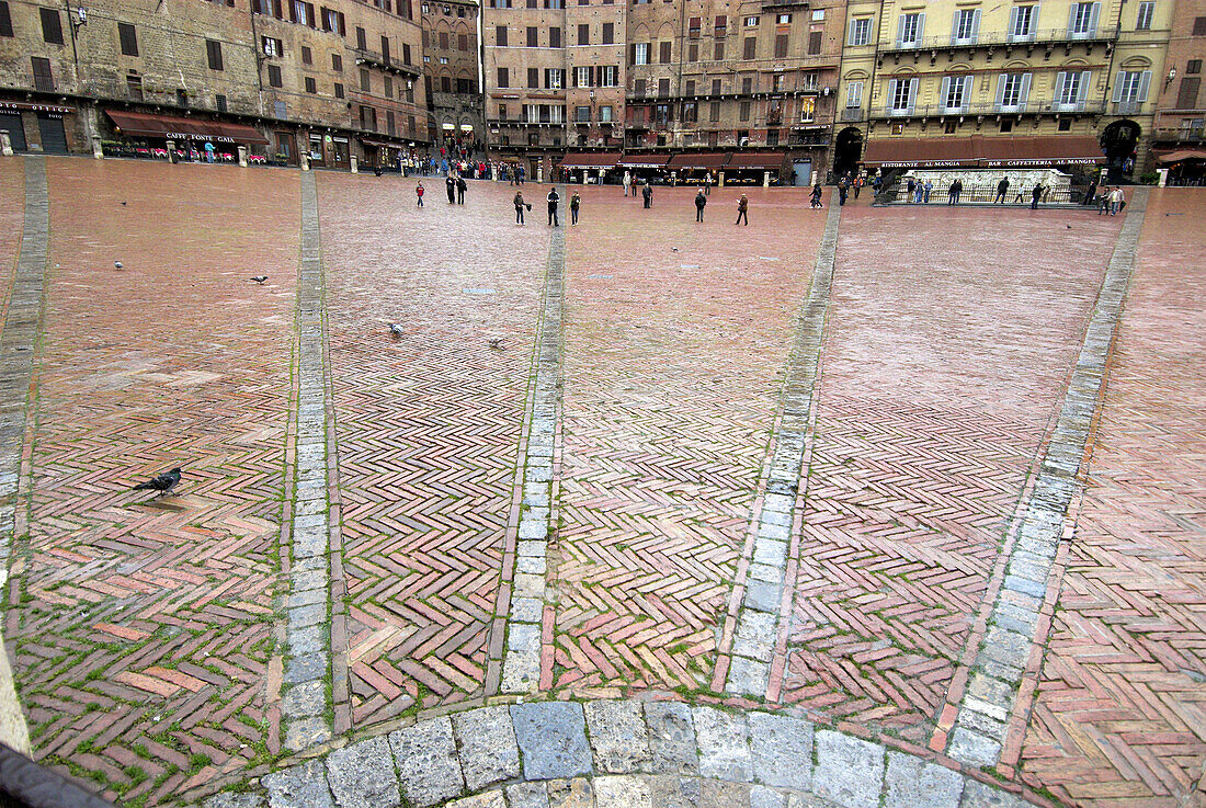 Siena, Piazza del Campo, pavement, rain, wetness, Tuscany, Italy