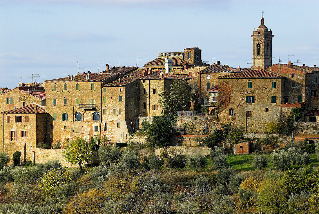 Castelmuzio, Tuscan village on top of a hill, near Pienza, fields and olive trees, colours of autumn, Tuscany, Italy