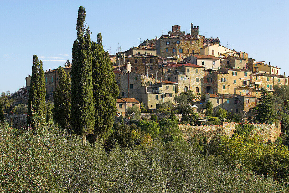 Petroio, Tuscan village on top of a hill, near Pienza, cypresses (Cupressus sempervirens)  and olive trees, colours of autumn, Tuscany, Italy
