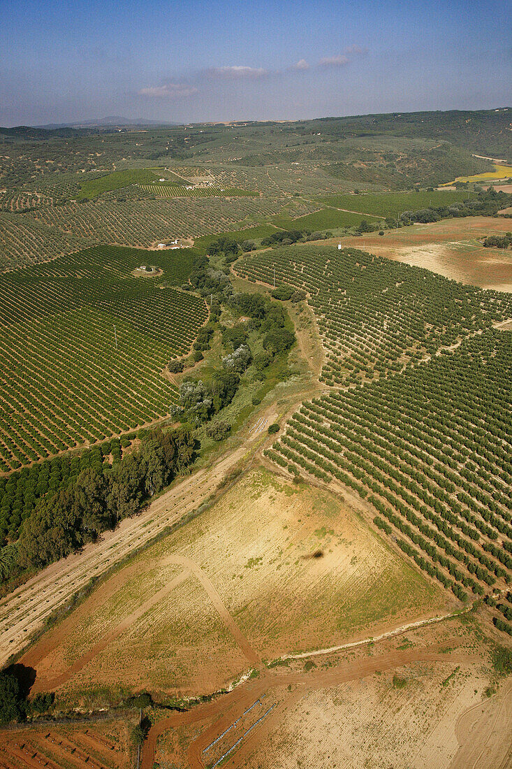 Landscape, Sierra Morena, Hornachuelos. Cordoba province, Andalucia, Spain