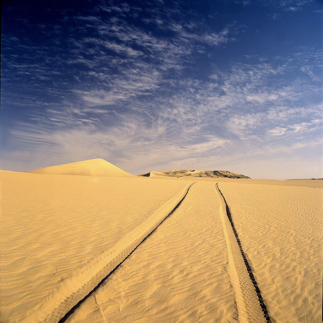 Ténéré desert, Sahara. Niger