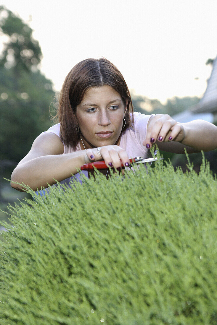 Girl trimming bush with a pair of scissors