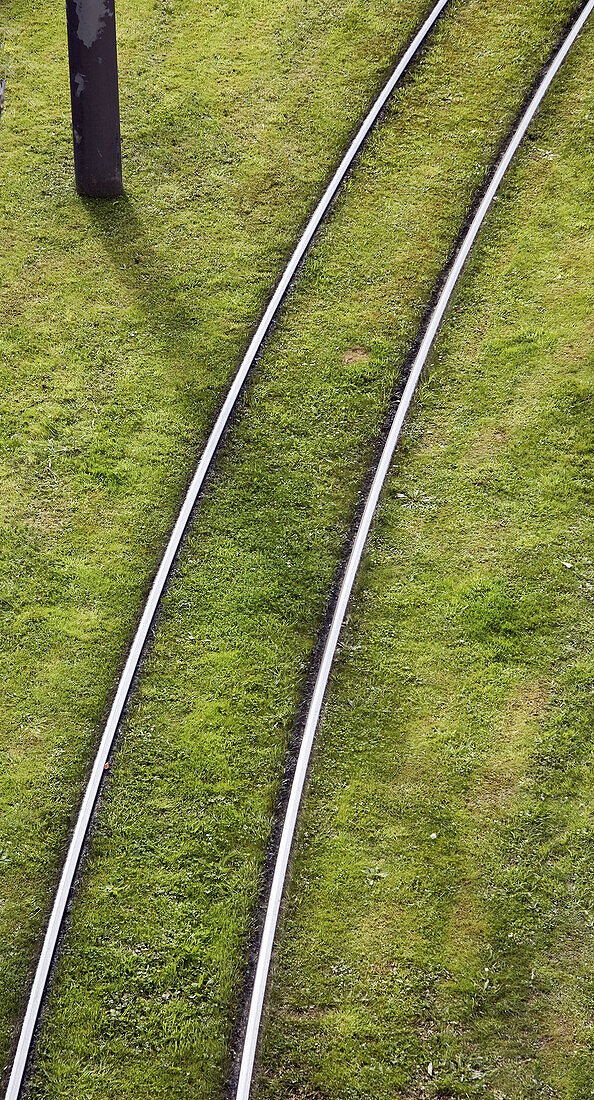 A railway and grass