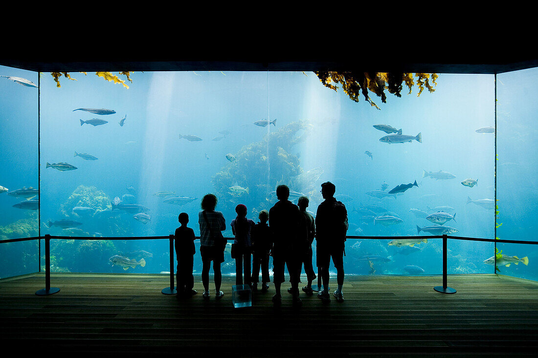 Aquarium. Alesund. More og Romsdal. Norway.