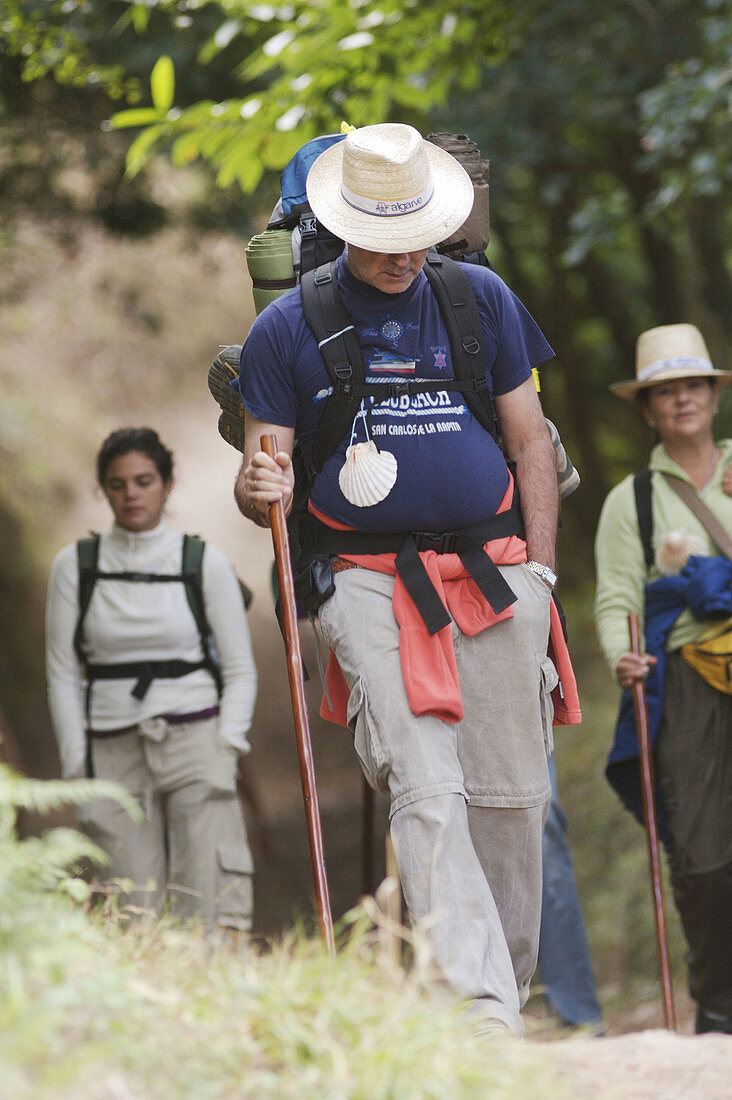 Pilgrims on the road to Santiago, Spain