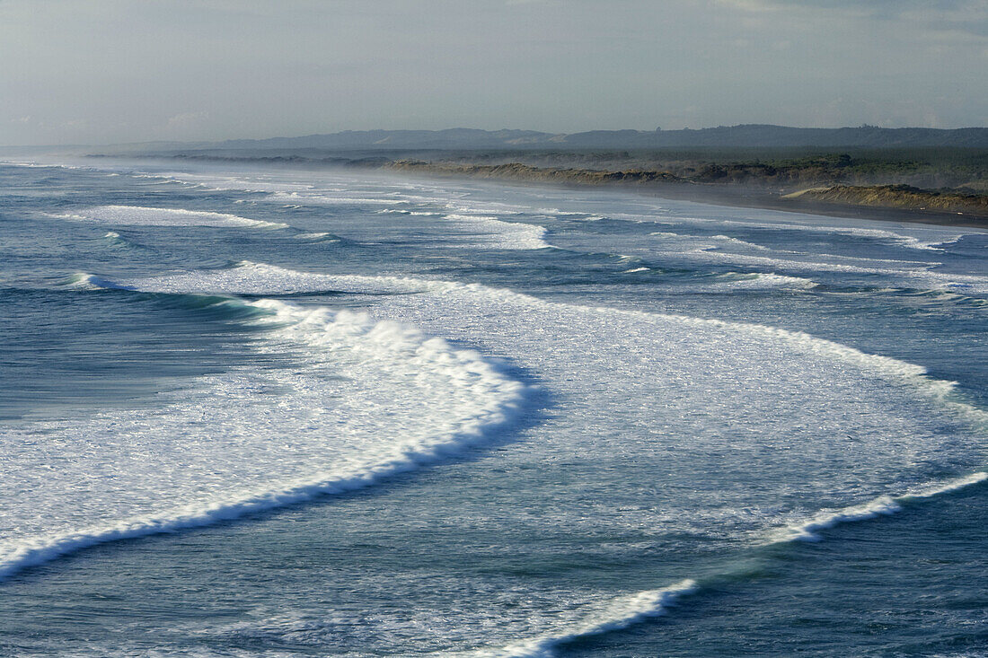 Sea Landscape Muriwai Beach