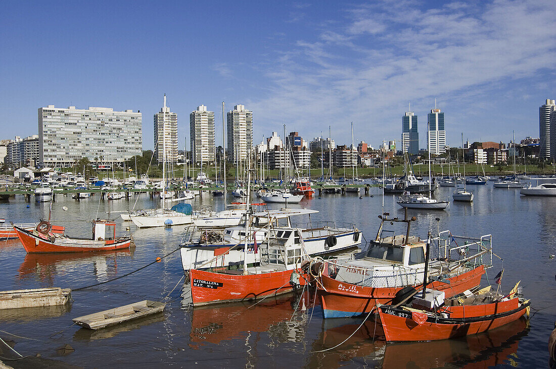 Puerto del Buceo. Río de La Plata, Montevideo, Uruguay
