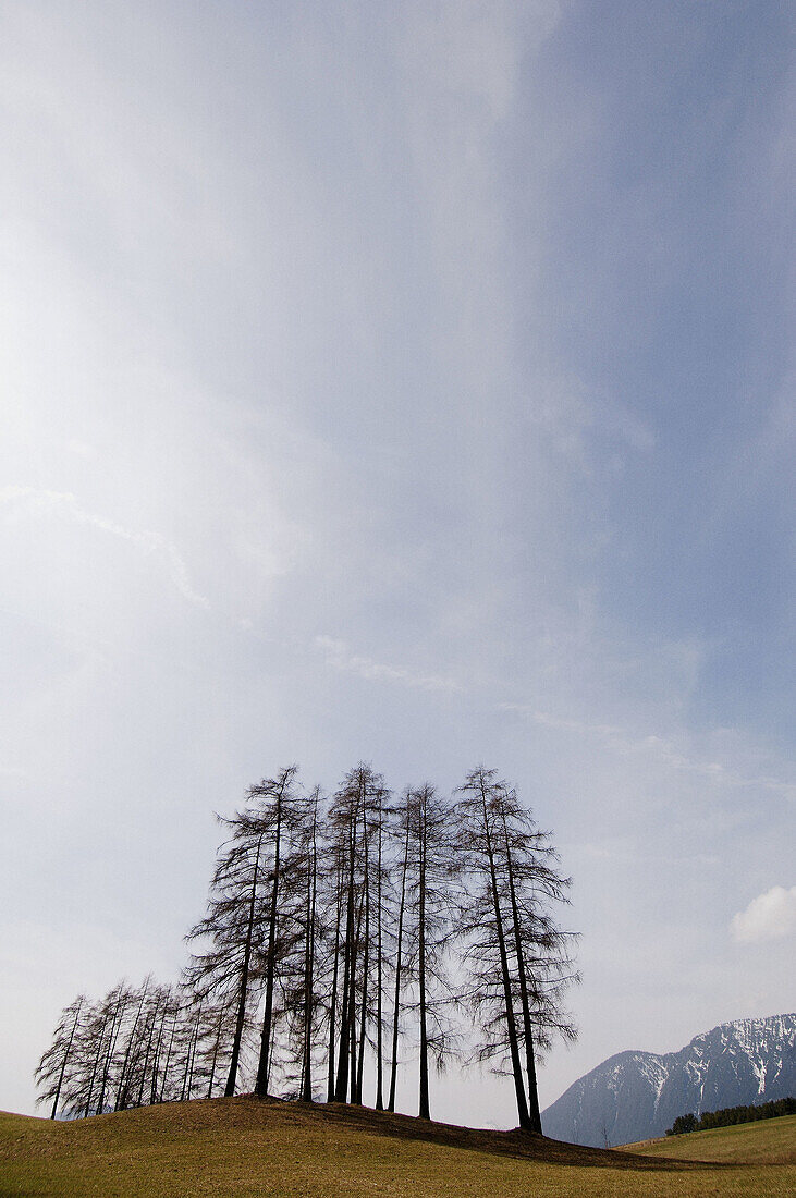 Abstract landscape in the Tyrol, Austria