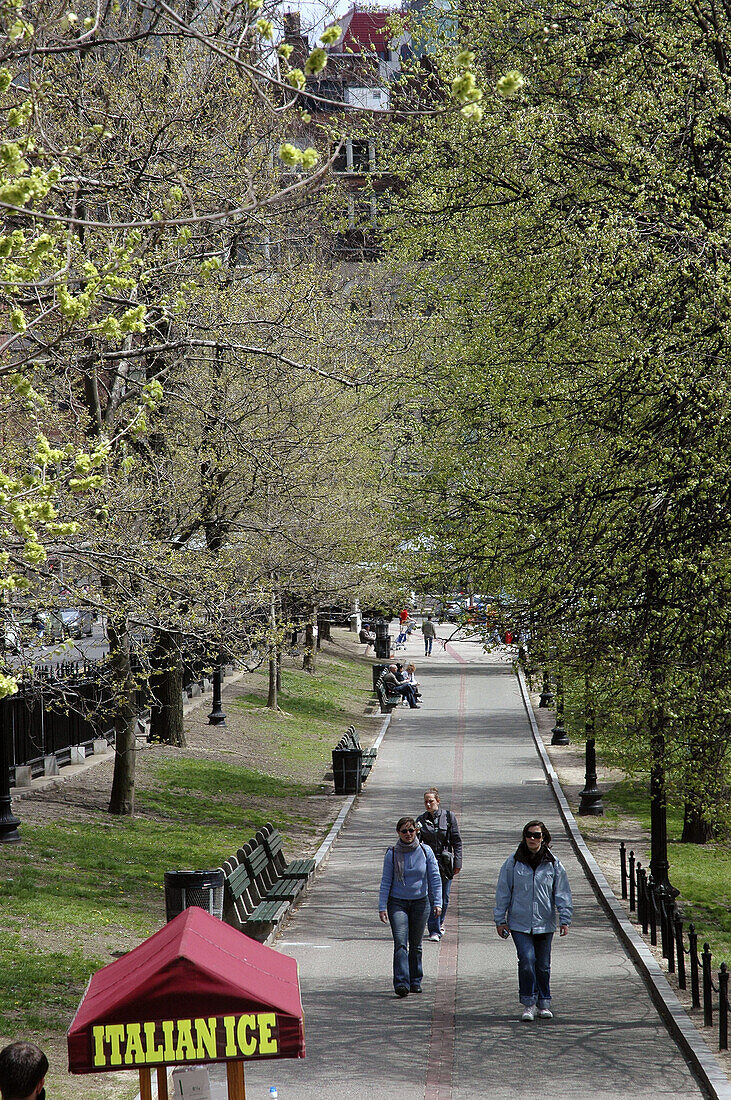 Boston, the Boston Common Park