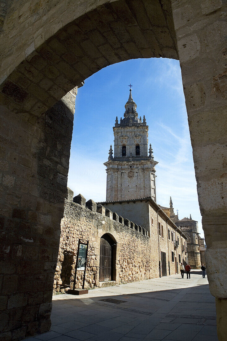 Burgo de Osma cathedral. Soria, Castilla y León. Spain.