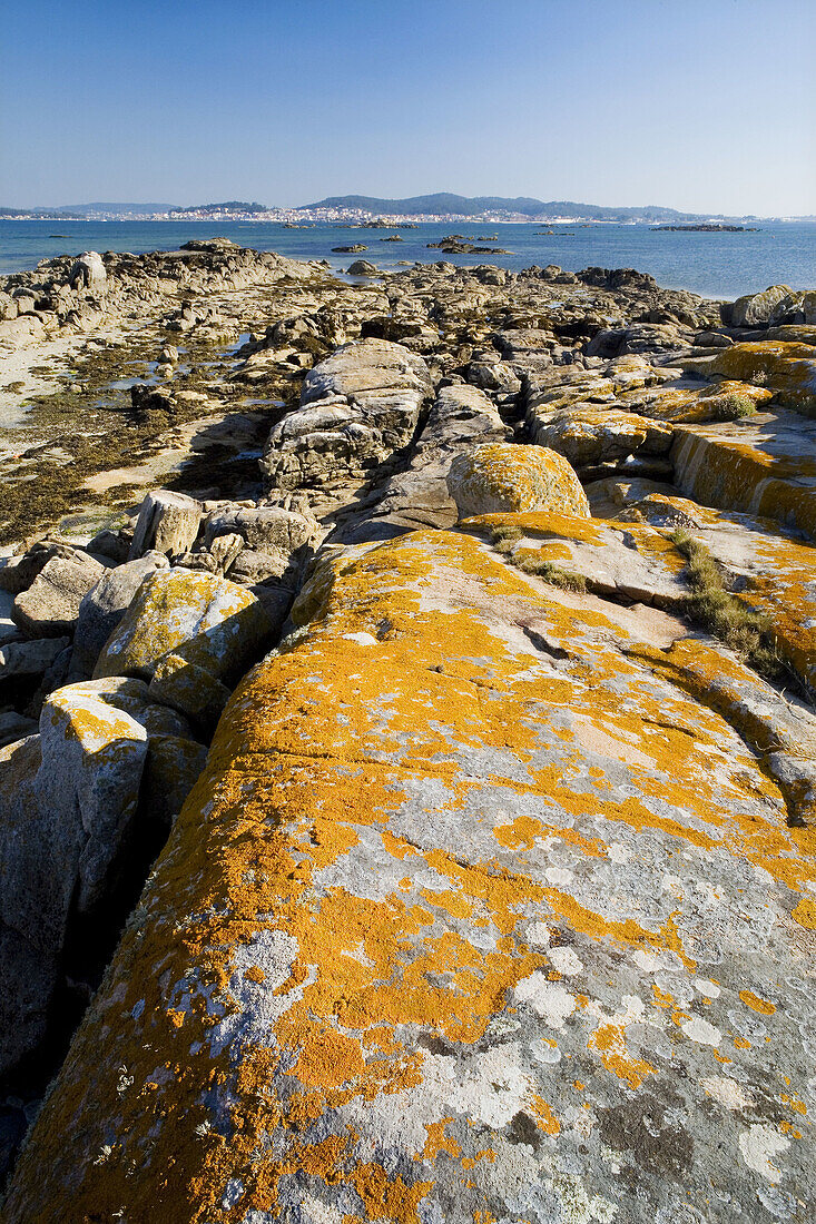 Carreiron Natural Park. Cambados, Ria de Arousa. Pontevedra province, Galicia, Spain