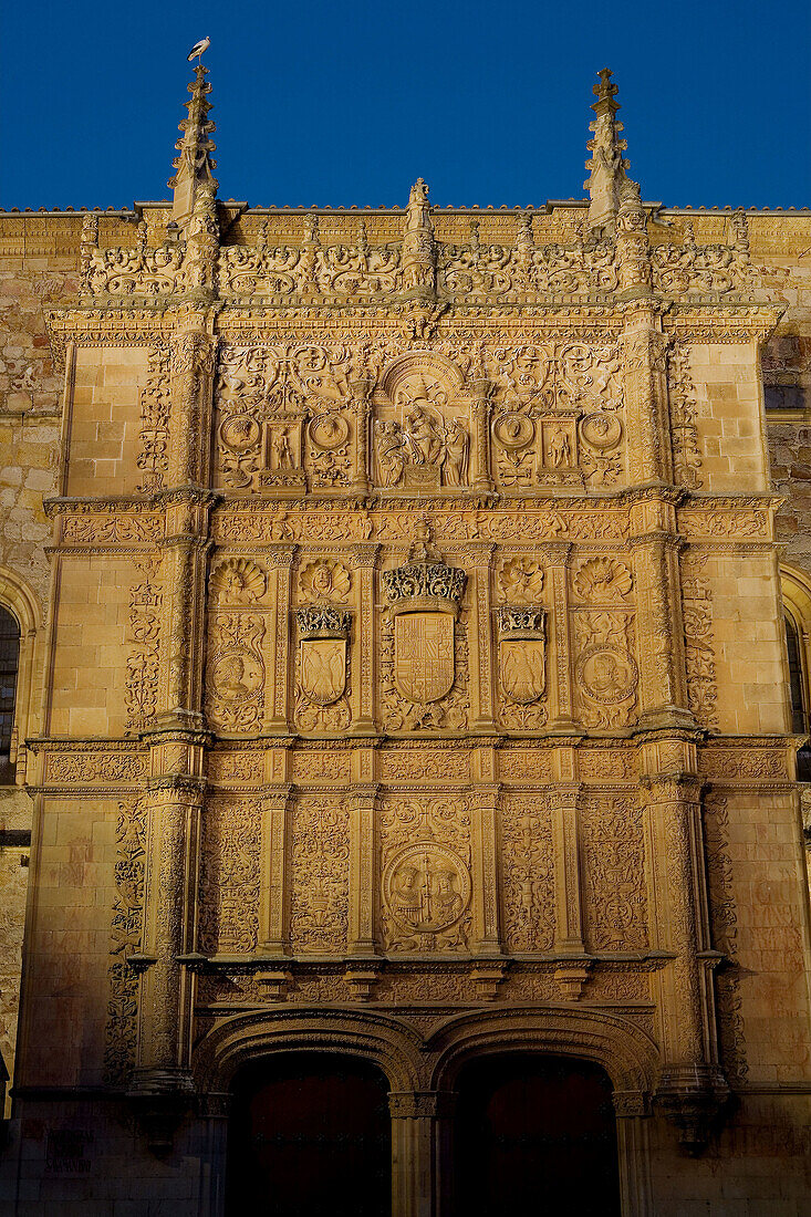 Façade. University of Salamanca. Salamanca. Spain