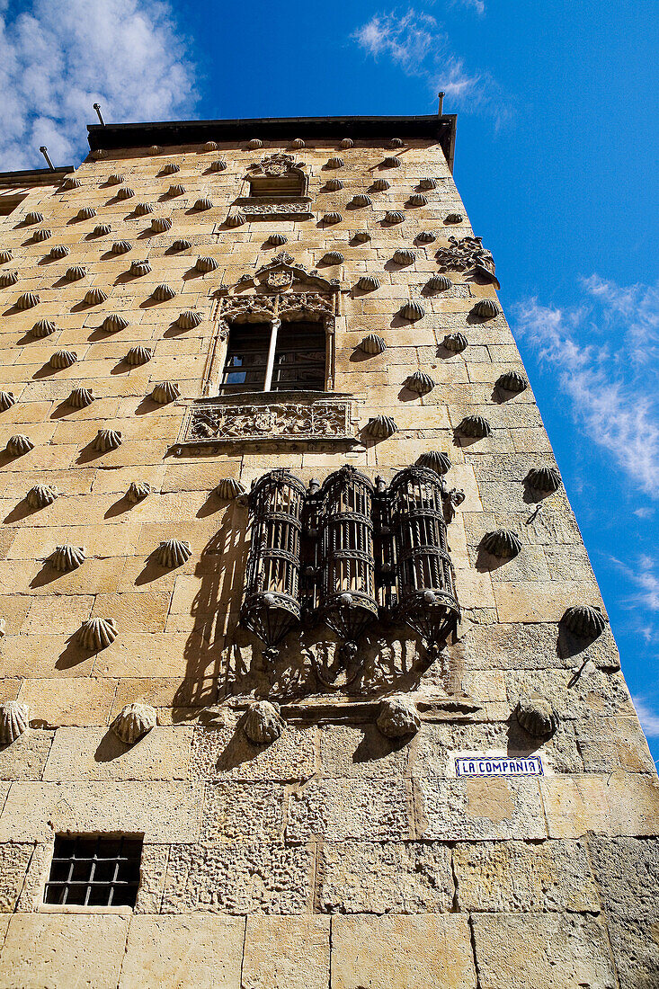 Casa de las Conchas (15th century), Salamanca. Castilla-León, Spain