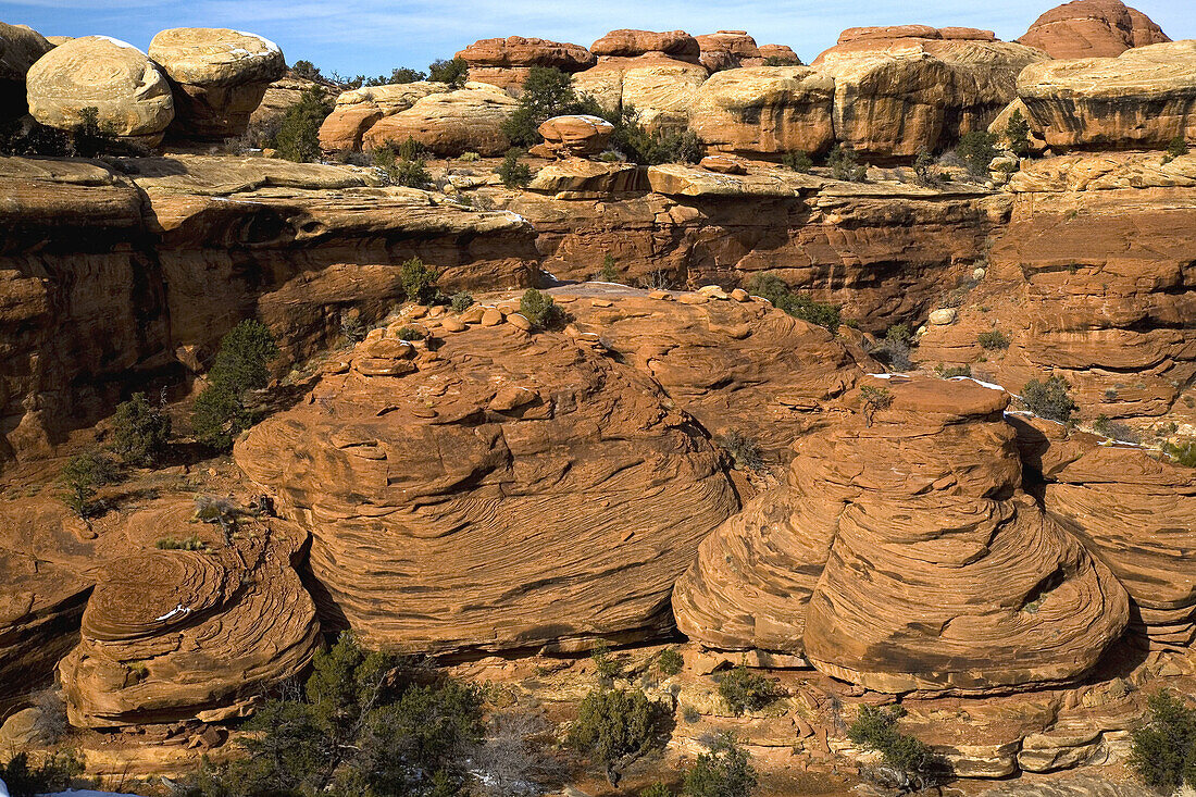 Needles District. Canyonlands National Park. Utah, USA